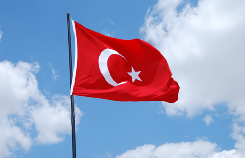 Turk bayragı